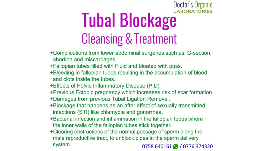 Tubal Blockage Cleansing and Treatment